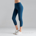 Cropped gym leggings mei mesh paniel